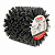 CAQ-N1101480