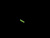 zoom_se_bs75_575769_a_04a.jpg